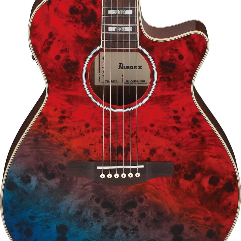 Ibanez AEGA250 USA 250th Anniversary Limited Edition Acoustic Electric Guitar