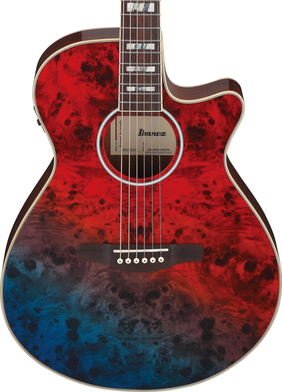 Ibanez AEGA250 USA 250th Anniversary Limited Edition Acoustic Electric Guitar — photo 1