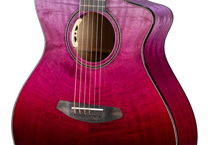 Breedlove Oregon Concert Pinot LTD CE, w/HSC — photo 1