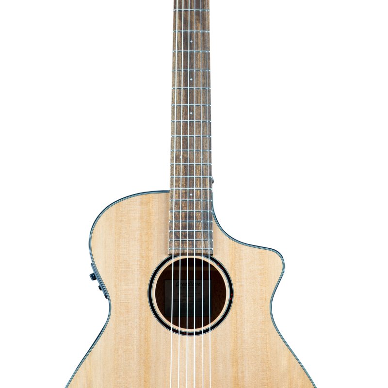 Breedlove S Concert Nylon CE
