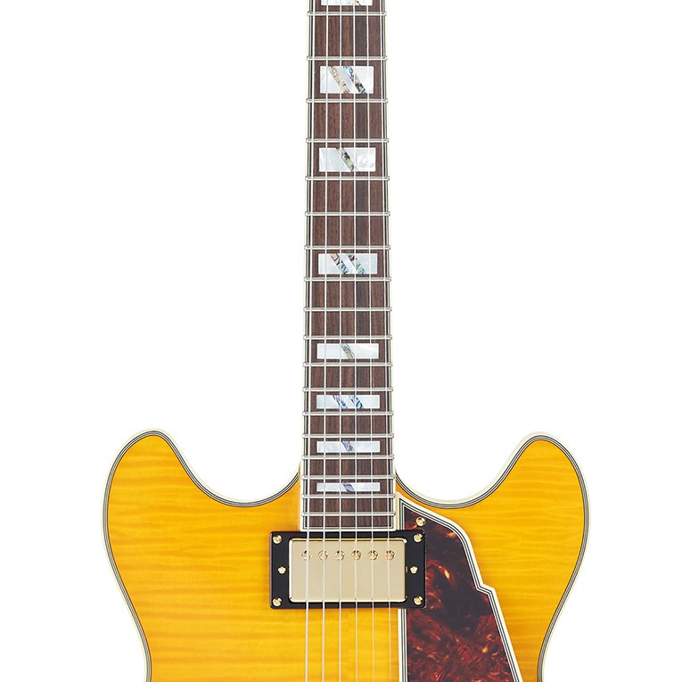 D'Angelico Excel EX-DC in Amber