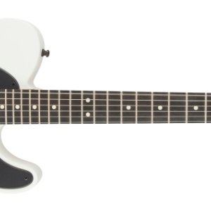 Fender MIM Jim Root signature Tele w/HSC