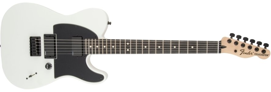 Fender MIM Jim Root signature Tele w/HSC — photo 1