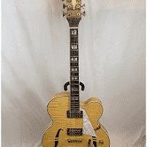 Michael Kelly Semi Hollow w/Bigsby used