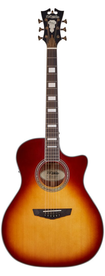 D'Angelico Electro 6 String Acoustic-Electric Guitar — photo 1