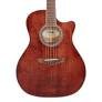 D'Angelico Gramercy Excel DAEG200XTWALGP w/hsc