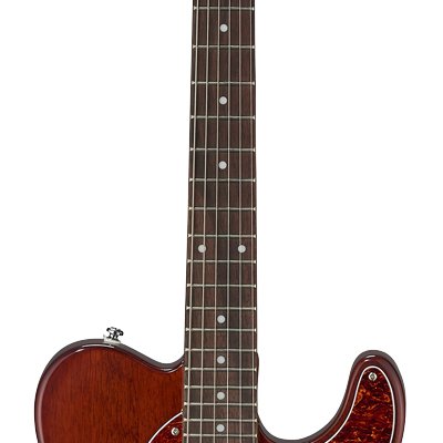 G&L Tribute ASAT Special Irish Ale