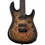 Sterling Cutlass Richardson7 Natural Popular Burl Burst