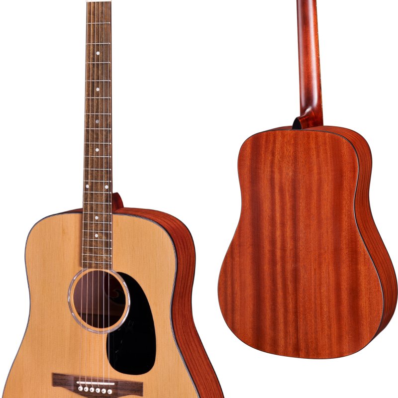 Eastman Dread PCH1-D w/bag