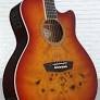 Washburn DFBACEA-U — photo 1