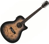 Washburn DFBACEB-U Acoustic/Electric — photo 1