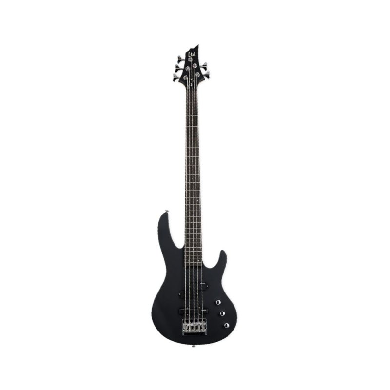 ESP/LTD B-15 5 String Black w/gig bag