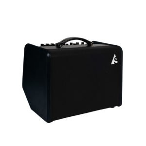 Godin Acoustic Solutions ASG-8 Black 120 watt amp — photo 1